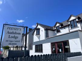 Feeney's Audubon Lodge，位于戈尔韦Galway Cultural Institute附近的酒店