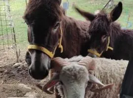 la masseria di Antonio e Teresina