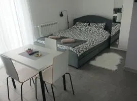 Studio apartman Kastav Hill