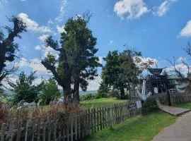 Phu Sumphao Valley ภูสำเภา วัลเลย์ รีสอร์ต