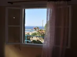 Evdilos apartments with a view