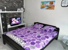 APARTMAN STARCEVIC