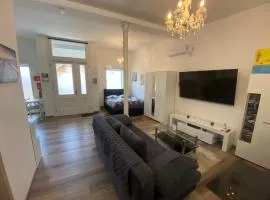 Schöne kleine Einraumwohnung mit Küche und Kamin in Holzthaleben