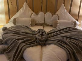 Ferienwohnung Schmidtalien，位于Dommitzsch的酒店