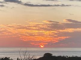Pacific View Condominium in Playa Azul，位于Playa Azul的酒店