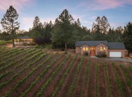 Vineyard Views 2BR House in Placerville, California，位于普莱瑟维尔的度假屋