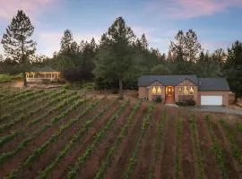Vineyard Views 2BR House in Placerville, California