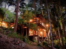 Currumbin Rainforest Treehouse，位于Currumbin Valley的乡村别墅