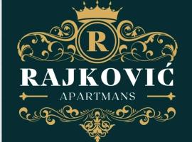 Apartmani Rajkovic，位于索科矿泉村的民宿