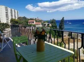 Appartement d'une chambre a Bastia a 100 m de la plage avec vue sur la mer terrasse et wifi