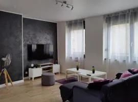 Le Purple, appartement de standing en hypercentre