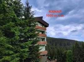 Velký apartmán Cihlarka