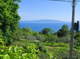 Apartmani Donata