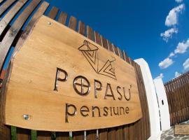 Pensiunea Popasu，位于Suciu de Sus的旅馆