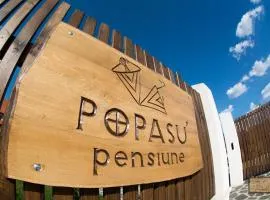 Pensiunea Popasu