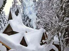 泽林科瓦假日公园酒店