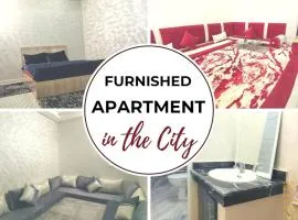 Furnished Apartment in the City