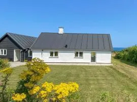 Holiday Home Alkmar - 75m from the sea in NW Jutland by Interhome