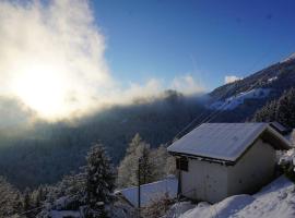 HERZLI-CHALET über dem Rheintal mit Schlossblick，位于Werdenberg的度假短租房