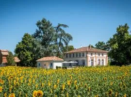 Gite ANDA- piscine- Montauban - Lacourt-Saint-Pierre