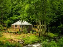 Creekside Cove Luxury Yurt w Hot Tub in Nantahala