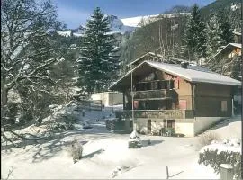 Bussalp Apartment - Aare Jungfrau AG