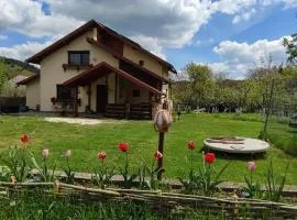 Cottage in traditional village Bradulet, Arges county