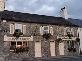 Bounty Bar，位于特里姆St. Mary's Abbey附近的酒店