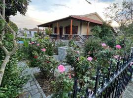 Valsamo Luxury Cottage，位于Chaïdeftón的酒店