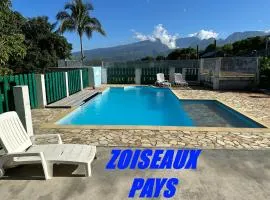 Zoiseaux Pays