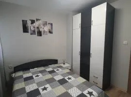 Apartment Voivoda