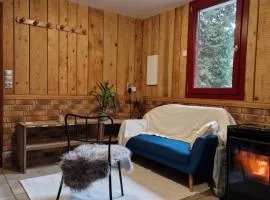 Chalet de la forêt 1 à 6 pers