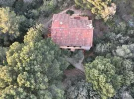 Villa Les Quatre Vents mit traumhaftem Meerblick