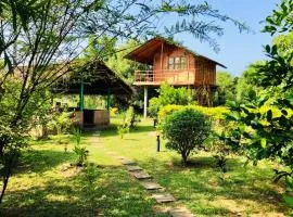 Sungreen Cottage Sigiriya