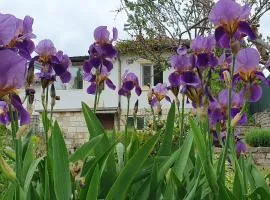 Стая за гости "Ирина"