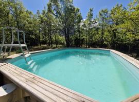 Chalet de Caralba Piscine，位于Ghisoni的酒店