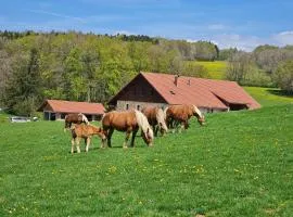 Gîte du cheval blanc