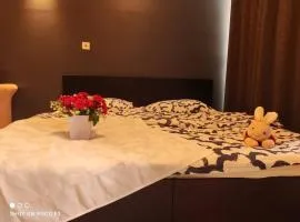 BS318- KLIA- SELF CHECK- IN- WIFI- NETFLIX-PARKING- BELL SUITEs, 5070