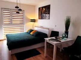 Fachpol Apartments Sienkiewicza 22D