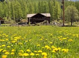 Chalet Rosa dei Monti