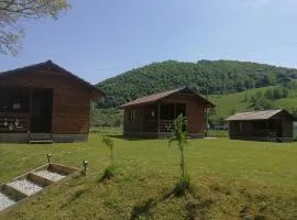 Căsuțe Zăvoi Bulz