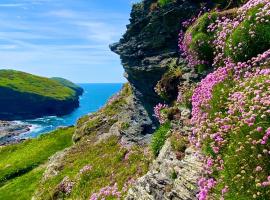 Polrunny Farm Blackberry Cottage - Cornwall bliss in sight of the sea，位于博斯卡斯尔的酒店