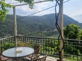 Zeus Apartman