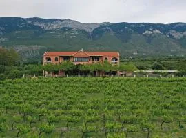 Stella Vineyard