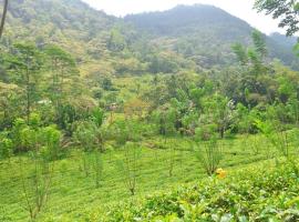Arcadea Eco Lodge & Tree Home，位于Ambalanpitiya的酒店