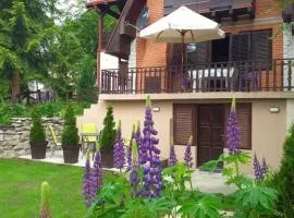 Apartmani Damjan Vlasinsko jezero