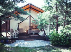 Boho Park Glamping，位于Zawiszyn的豪华帐篷