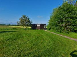 Tiny house ''De Veenpolder''，位于De Veenhoop的小屋