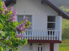 Vlasic holiday home，位于弗拉西克的酒店