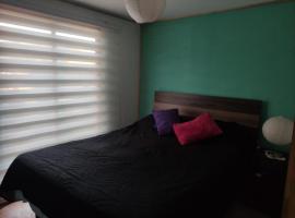 Cabañas buchupureo，位于布丘普雷奥的酒店